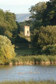 Experience the Essence of Late Summer - Knepp Estate 1 Day Retreat - Sunday 9th August 2026