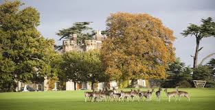 Experience the Essence of Late Summer - Knepp Estate 1 Day Retreat - Sunday 9th August 2026