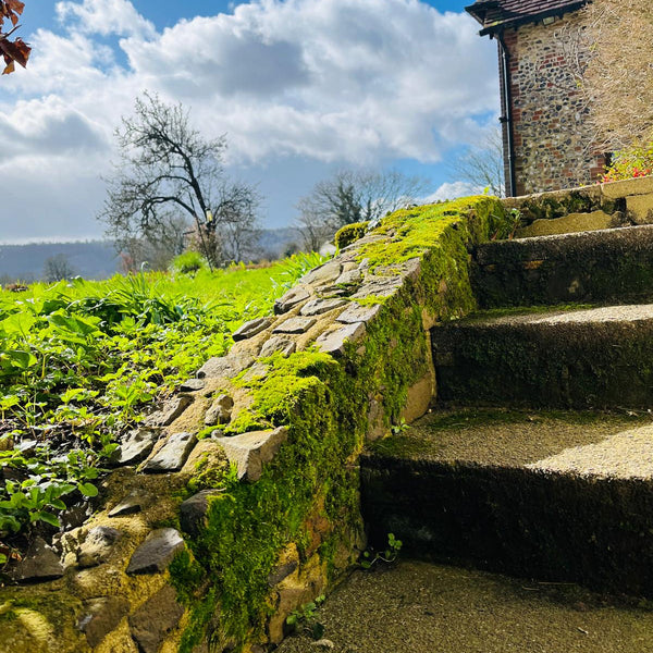 Expand Into Summer | Sussex Day Retreat at Westerlands | 26 April 2026