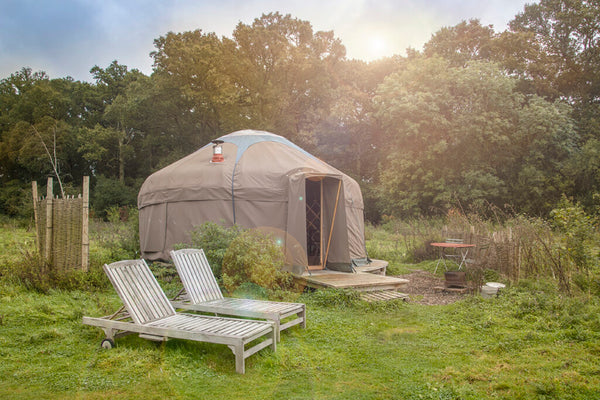 Experience the Essence of Late Summer - Knepp Estate 1 Day Retreat - Sunday 9th August 2026