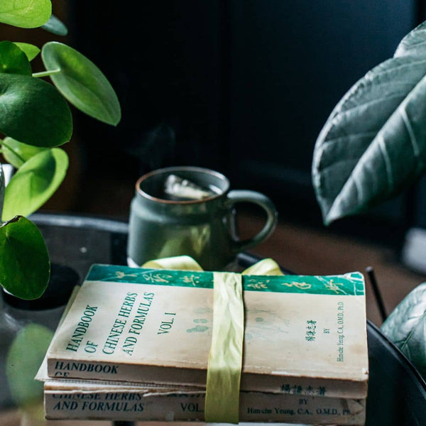 Chinese Medicine Seasonal Wellness Certificate