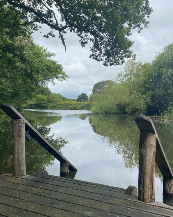Expand Into Summer - Knepp Estate 1 Day Retreat - May 2027