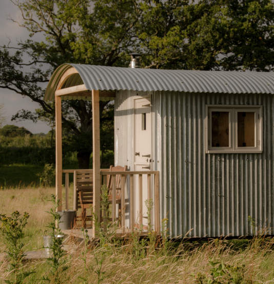 Experience the Essence of Late Summer - Knepp Estate 1 Day Retreat - Sunday 9th August 2026