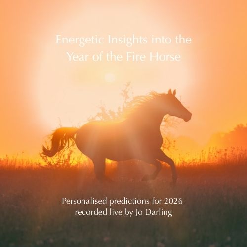 Energetic Insights into the Year of the Fire Horse - Recording of Live Event With Jo Darling