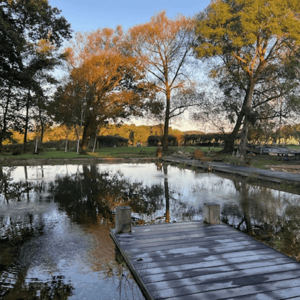 Let Go and Breathe into Autumn - Sussex 1 Day Retreat - Saturday 26th September 2026