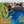 Natural Reset May 2027 : Chinese Medicine Wellness Retreat 6 Day - Spain - Deposit Only