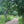 Experience the Essence of Late Summer - Knepp Estate 1 Day Retreat - 10th August 2025