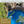 Natural Reset September 2027 : Chinese Medicine Wellness Retreat 6 Day - Spain - Deposit Only