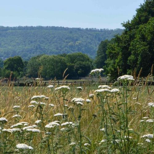 Expand Into Summer | Sussex Day Retreat at Westerlands | 26 April 2026