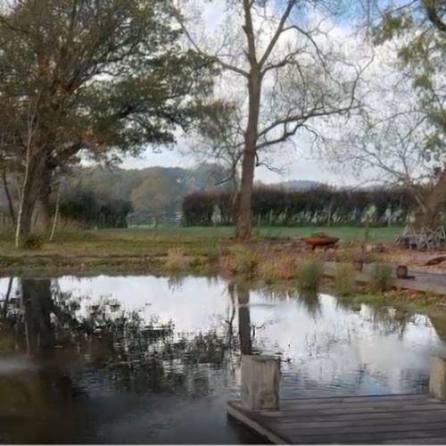 Embrace Winter’s Stillness - Winter Sussex 1 Day Retreat -  Sunday, 8th November 2026