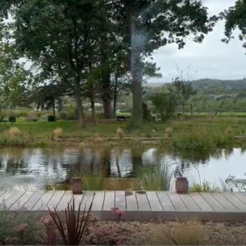 Let Go and Breathe into Autumn - Sussex 1 Day Retreat - Saturday 26th September 2026