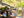 Ground in Nature retreat - Turkey - 15th to 20th April 2027 - Deposit Option